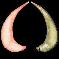 Biologische zorgboerderij de grote Wiede