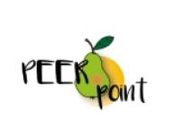 PEERpoint Herstelacademie