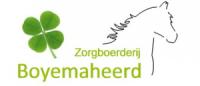 Boyemaheerd